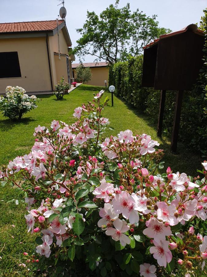 Agriturismo Severini Fonteblanda Exterior foto